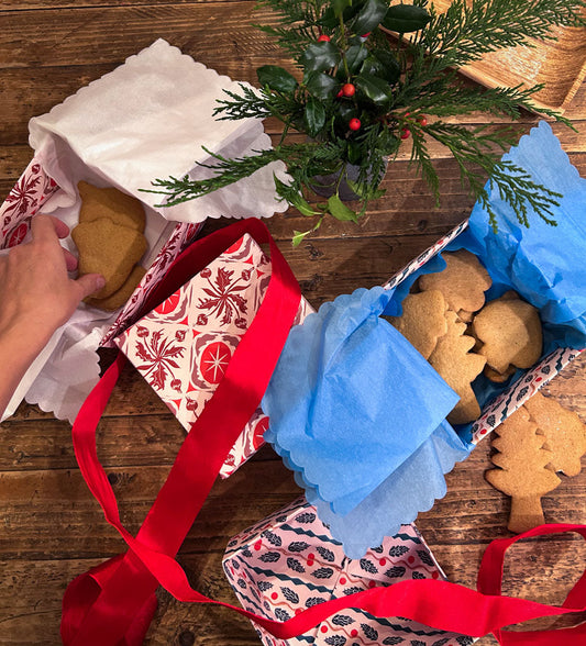hand placing homemade cookies in a festive christmas box