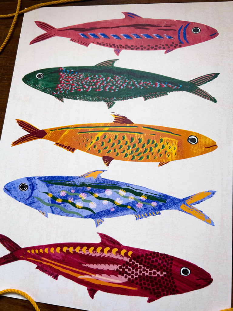 Sardine Print